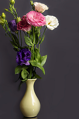 포토 JPG 해외이미지 꽃 종이 분홍색 꽃다발 백그라운드 휴가 친절 새해 선물 사랑 사람없음 여름 컬러풀 장미 반사 꽃병 젖음 덮개 물방울 축하 신선 우아함 구매 수집 주기 냄새 날카로움 아로마 분무기 라일락 알레르기 인기 많음 그리너리 해외202309 해외포토 식물 계절 감정 컬러 컨셉 모션 쇼핑 뚜껑 질병 파일형식 트랜드컬러