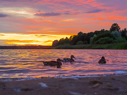 포토 JPG 해외이미지 응시 지구 음료 선 파도 바다 캐나다 의자 손가락 휴식 항해 사람없음 가로 달리기 평화 침묵 고요 흐름 안개 재산 당기기 매끈함 순수 다이빙 독수리 부드러움 천국 에스토니아 해외202309 해외포토 손 시선 유럽 가구 컨셉 북아메리카 배_교통 모션 조류 날씨 금융 수영 소리 감각 수중스포츠 파일형식
