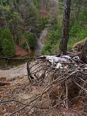 포토 JPG 해외이미지 나무 공원 지구 모래 바다 자연 날씨 건조 사람없음 야외 목재 초록색 물 강 환경 흙 봄 손상 소나무 변화 가장자리 떨어짐 숲 부식 뿌리 충격 노출 뇌우 벌거벗은 생태학 해외202309 해외포토 자연요소 식물 계절 공공시설 교육 컬러 컨셉 재료 둘레 생태계 파일형식