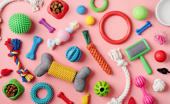 포토 JPG 해외이미지 밧줄 인형 분홍색 공 사람없음 하이앵글 개밥그릇 개뼈다귀 애견빗 해외202309 해외포토 반려용품 그릇 줄 뷰포인트 컬러 오브젝트 애견용품 애견간식 파일형식