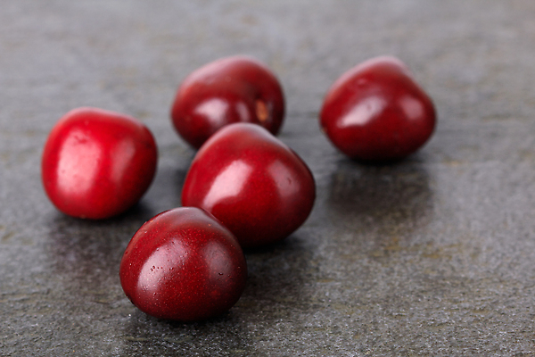 포토 JPG 해외이미지 계절 열매 음식 백그라운드 농업 과일 재료 자연 탁자 디저트 건강 사람없음 빨간색 정원 검은색 어둠 회색 신선 체리 달콤 먹기 유기농 날것 내추럴 숙성 채식주의자 해외202309 해외포토 식물 웰빙 산업 컬러 가구 모션 맛 생태계 채식 파일형식