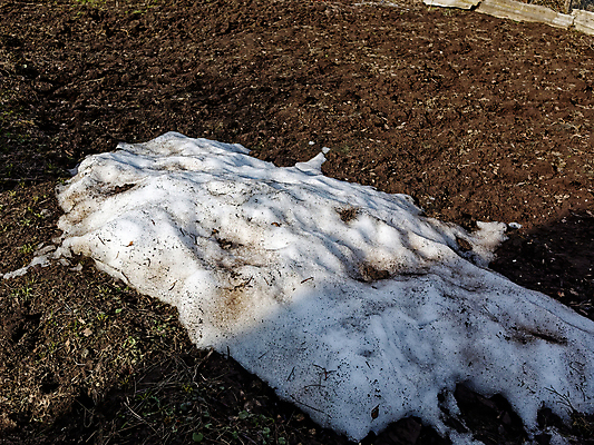 포토 JPG 해외이미지 나무 식물 외관 계절 꽃 여행 백그라운드 꽃무늬 밭 건축양식 자연 하늘 지붕 주택 사람없음 야외 건물 목재 초록색 물 파란색 컬러풀 햇빛 뷰티 마을 정원 자전거 봄 벚꽃 시골 재산 시골집 셔터 옛날 해외202309 해외포토 자연요소 건축물 건축 컬러 무늬 농업 재료 금융 태양 바이크 생태계 파일형식