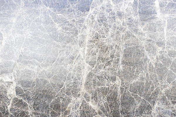 포토 JPG 해외이미지 디자인 벽 백그라운드 패턴 건축양식 자연 벽지 표면 추상 바닥 미술 사람없음 내부 그래픽 장식 빛 우주 주방 검은색 페인트 회색 수확 골동품 바위 흰색 시골 점 얼룩 도자기 우아함 매끈함 천 계산대 타일 묘사 질감 대리석 페이지 판 내추럴 옛날 효과 해외202309 해외포토 건축 컬러 컨셉 무늬 농업 재료 문화예술 돌_바위 직물 감각 생태계 파일형식