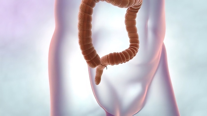 포토 JPG 해외이미지 음식 과학 신체 오렌지 일러스트 해부 유리 건강 사람 사람없음 내부 그래픽 파란색 반사 3D 고통 흰색 투명 오르간 질병 작음 큼 생물학 광택 시스템 염증 복부 강조 해외202309 해외포토 교육 감정 컬러 과일 의학 재질 신체부위 건반악기 크기 디지털합성 파일형식