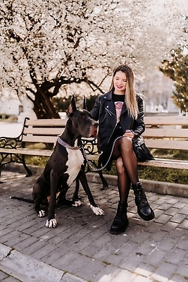 포토 JPG 해외이미지 전신 한마리 공원 여자 반려견 벤치 꽃나무 한명 앉기 성인 야외 앞모습 산책 잡기 대형견 목줄 성인여자한명만 쓰다듬기 내려보기 그레이트덴 해외202309 해외포토 나무 1 공공시설 꽃 뷰포인트 의자 모션 휴식 사람 반려동물 개 여자한명만 성인여자만 파일형식 반려용품