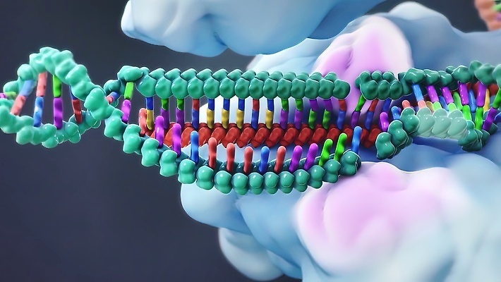 포토 JPG 해외이미지 과학 일러스트 건강 사람없음 약 표현 DNA 생명공학 묶기 약국 유기농 생물학 원자 조제 고립 규정 단백질 인수 번역 아연 해외202309 해외일러스트 웰빙 교육 의학 모션 만들기 영양소 파일형식