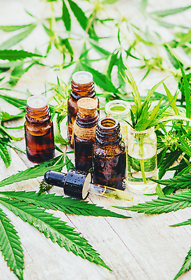 포토 JPG 해외이미지 백그라운드 자연 사람없음 뷰티 신선 풀잎 오일 내추럴 해외202309 해외포토 음식 잎 화장품 풀_식물 생태계 파일형식