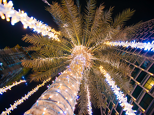 포토 JPG 해외이미지 나무 식물 바다 섬 여행 백그라운드 크리스마스 과일 전구 건축양식 자연 휴가 손바닥 사람없음 야외 장식 초록색 파란색 빛 숫자 여행객 어둠 올려보기 춤 원형 화려 야간 큼 시원함 12월 연도 클럽 휴양지 질감 디스코 전자 코코넛 빛망울 광 두바이 주도 유흥 효과 해외202309 해외포토 자연요소 도형 문자 손 기념일 건축 음악 컬러 컨셉 모션 문화예술 사람 장소 예절 날짜 크기 생태계 아랍에미리트 파일형식