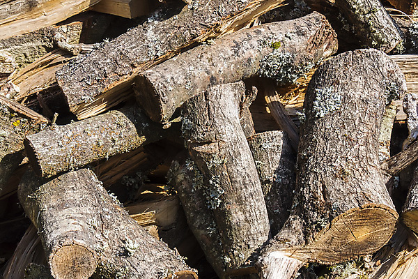 포토 JPG 해외이미지 나무 산업 백그라운드 겨울 패턴 자연 불 건조 사람없음 야외 목재 갈색 쌓기 환경 재활용 에너지 추위 시골 주식 숲 장작 자르기 준비 생태계 벽난로 질감 통나무 나무껍질 연료 난방 자원 잡동사니 내추럴 생태학 수목 화상 개조 해외202309 해외포토 자연요소 식물 계절 교육 컬러 무늬 재료 모션 금융 껍질 상처 친환경 파일형식