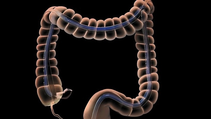 포토 JPG 해외이미지 과학 신체 해부 청진기 자연 건강 병원 사람없음 치료 약 의사 질병 예방 암 외과 테라피 방사선 블러 종양 해외202309 해외포토 의학 의료기기 뷰티 의료진 생태계 파일형식