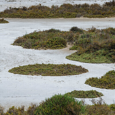 포토 JPG 해외이미지 호수 모래 분홍색 컬러 백그라운드 오렌지 자연 휴가 안테나 해변 사람없음 야외 빨간색 물 파란색 뷰티 사막 연못 중세 역사 소금 내추럴 수평선 해외202309 해외포토 자연요소 바다 과일 통신 생태계 파일형식