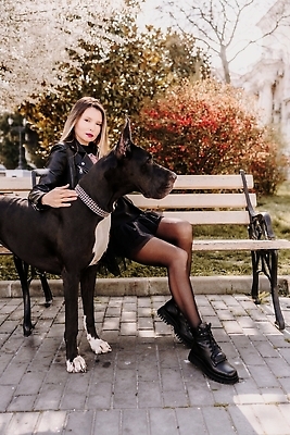 포토 JPG 해외이미지 전신 한마리 공원 여자 반려견 벤치 꽃나무 한명 앉기 성인 야외 옆모습 산책 대형견 성인여자한명만 쓰다듬기 그레이트덴 해외202309 해외포토 나무 1 공공시설 꽃 뷰포인트 의자 모션 휴식 사람 반려동물 개 여자한명만 성인여자만 파일형식