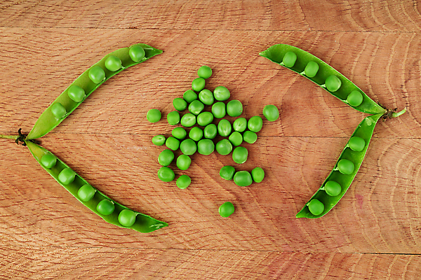 포토 JPG 해외이미지 식물 라이프스타일 음식 백그라운드 패턴 농업 다이어트 채소 재료 자연 콩 건강 요리 씨앗 사람없음 가로 초록색 쌓기 수확 흰색 신선 그룹 사발 시장 먹기 가득함 오브젝트 유기농 완두콩 날것 비타민 국산 흙더미 내추럴 고립 꼬투리 숙성 채식주의자 해외202309 해외포토 웰빙 산업 컬러 무늬 모션 곡류 생활 흙 사기그릇 생태계 채식 영양소 파일형식 더미