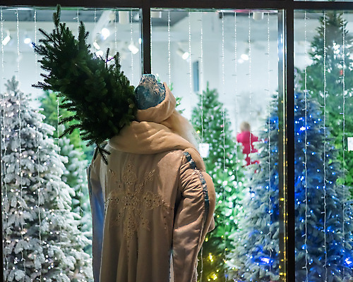 포토 JPG 해외이미지 나무 백인 전통 계절 행복 크리스마스 겨울 가방 휴가 새해 수염 요정 선물 한명 이벤트 야외 장식 초록색 산타클로스 얼음 축제 화환 희망 추위 축하 인사 잡기 아빠 야간 12월 심볼 상록수 전나무 러시아인 인공 크리스마스이브 폭설 클라우스 해외202309 해외포토 자연요소 서양인 식물 1 잡화 기념일 꽃 감정 컬러 컨셉 가족 모션 눈_날씨 사람 예절 날짜 자연재해 파일형식