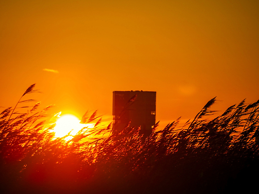 포토 JPG 해외이미지 남자 실루엣 분홍색 컬러 과학 항해 건강 사람없음 그래픽 가로 햇빛 노란색 평화 우주 희망 새벽 별자리 기쁨 광선 달 표현 춤 그룹 황금 떨어짐 군중 신비 달빛 명상 코스모스 은하계 해군 공상 천문학 마법 스카이라인 네비게이션 성운 광 넘어짐 해외202309 해외포토 자연요소 교육 꽃 감정 컨셉 배_교통 모션 문화예술 군대 촬영기법 사람 태양 파일형식