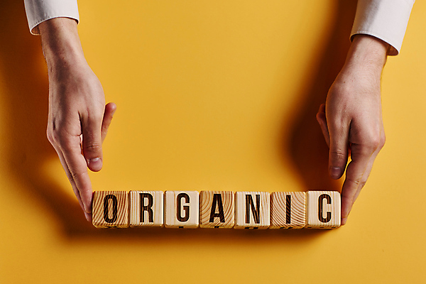 포토 JPG 해외이미지 손 알파벳 비즈니스 텍스트 아이디어 신체부위 단어 노란색 유기농 나무블록 카피스페이스 해외202309 해외포토 문자 웰빙 영어 컬러 컨셉 사람 목재 공백 블록 파일형식