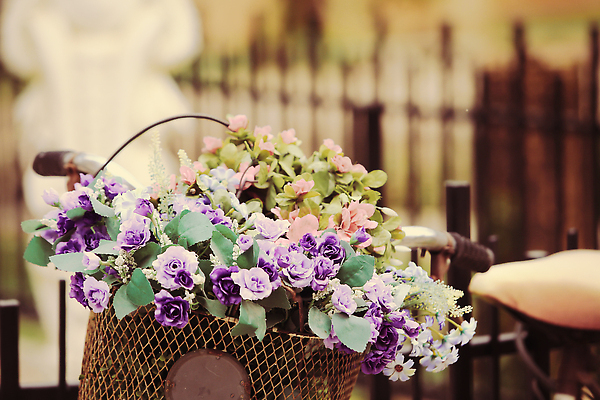 포토 JPG 해외이미지 식물 디자인 외관 계절 공원 꽃잎 꽃 분홍색 꽃다발 결혼 잎 꽃무늬 자연 거리 발렌타인데이 사랑 서기 사람없음 야외 장식 빨간색 세로 뷰티 장미 바구니 정원 자전거 낭만 수확 골동품 벚꽃 신선 바퀴 개화 자주색 묘사 오브젝트 복고 순환 옛날 해외202309 해외포토 공공시설 감정 컬러 컨셉 무늬 농업 모션 데이이벤트 이벤트 바이크 생태계 파일형식