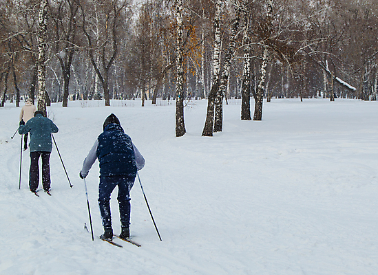 포토 JPG 해외이미지 나무 백인 라이프스타일 커플 계절 공원 여자 스포츠 포즈 백그라운드 십자가 2 겨울 자연 하늘 스키 함께함 건강 사람 성인 사람없음 야외 파란색 하이킹 추위 흰색 시골 막대기 숲 스키선수 북쪽 옛날 해외202309 해외포토 서양인 식물 공공시설 컬러 컨셉 관계 레저 겨울스포츠 운동선수 생활 방향 생태계 파일형식