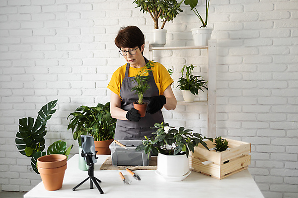 포토 JPG 해외이미지 여자 화분 한명 들기 상반신 성인 앞모습 스마트폰 나무상자 책상 진열장 원예 원예식물 삼각대 원예용품 플로리스트 성인여자한명만 안경낌 인터넷방송 1인미디어 홈가드닝 해외202309 해외포토 식물 직업 1 안경 뷰포인트 가구 생활용품 모션 사람 취미 핸드폰 스마트기기 상자 방송 여자한명만 성인여자만 파일형식