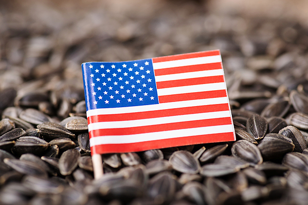 포토 JPG 해외이미지 음식 백그라운드 컨셉 돈 농업 해바라기 씨앗 사람없음 상점 검은색 미국 수확 깃발 시장 농부 낟알 가격 무역 유기농 날것 슈퍼마켓 매각 수입 해외202309 해외포토 식물 직업 웰빙 꽃 산업 컬러 북아메리카 재산 파일형식