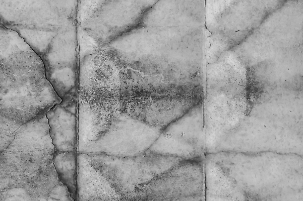 포토 JPG 해외이미지 디자인 외관 벽 백그라운드 패턴 건축양식 벽지 표면 날씨 추상 벽돌 바닥 사람없음 건물 검은색 페인트 손상 회색 수확 골동품 흰색 도시 거친 균열 버리기 묘사 질감 복고 시멘트 구식 그런지 깨짐 석고 옛날 지진 콘크리트 효과 해외202309 해외포토 건축물 건축 컬러 컨셉 무늬 농업 모션 자연재해 파일형식