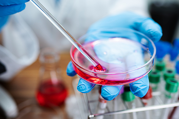 포토 JPG 해외이미지 직업 접시 손 산업 문화 과학 장갑 컨셉 불꽃 건강 실험 사람 사람없음 초록색 파란색 약 건강관리 장비 의사 잡기 업무 실험실 바이러스 생명공학 연구원 과학자 분석 생물학 미생물 박테리아 발견 돌봄 화학물질 화학자 해외202309 해외포토 식기 잡화 교육 컬러 의학 모션 불 생물 관리 신체부위 의료진 작업 화학 학자 파일형식