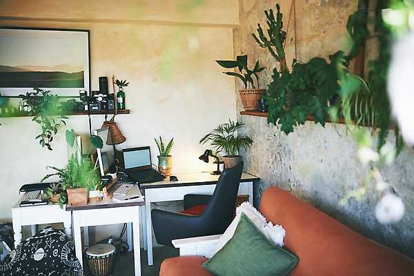 포토 JPG 해외이미지 화분 의자 직장 실내 사람없음 노트북 사무실 작업실 소프트포커스 책상 플랜테리어 해외202309 해외포토 가구 회사 비즈니스 촬영기법 내부 전자제품 인테리어 파일형식