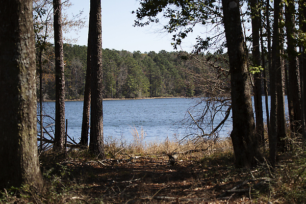 포토 JPG 해외이미지 길 지구 과학 여행 백그라운드 컨셉 자연 추상 휴가 풍경 사람없음 야외 가로 파란색 뷰티 평화 환경 어둠 침묵 펼침 탐험 소나무 황무지 분위기 보호 숲 오솔길 생태계 장면 방문 서식지 밀짚 내추럴 삼림지대 생태학 해외202309 해외포토 나무 교육 컬러 무늬 모션 소리 짚 파일형식
