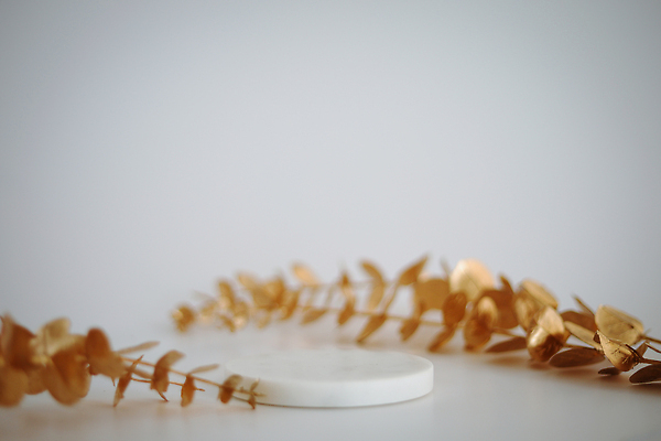 포토 JPG 해외이미지 백그라운드 낙엽 사람없음 공간 원형 단상 포디움 해외202309 해외포토 도형 잎 무대 파일형식