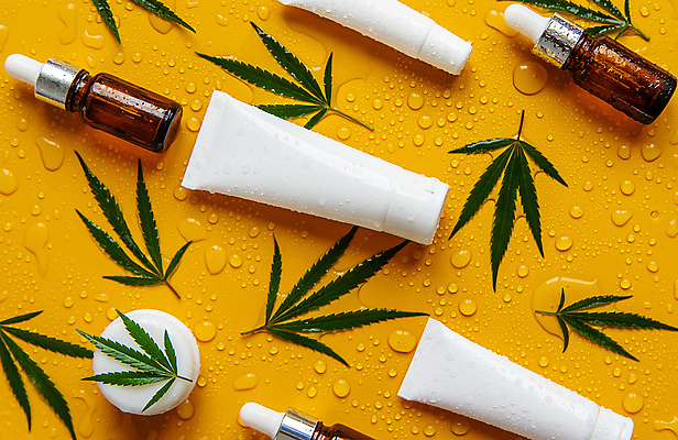 포토 JPG 해외이미지 백그라운드 잎 자연 사람없음 뷰티 주황색 신선 오일 수분 내추럴 해외202309 해외포토 식물 음식 컬러 화장품 생태계 파일형식