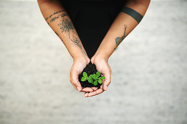 포토 JPG 해외이미지 손 들기 신체부위 하이앵글 새싹 자연보호 희망 흙 성장 문신 손모으기 해외202309 해외포토 식물 감정 뷰포인트 모션 자연 사람 손짓 보호 파일형식