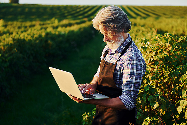 포토 JPG 해외이미지 노년 남자 밭 농업 한명 들기 상반신 옆모습 노트북 농경지 농사 시골 타이핑 농부 분석 노인남자한명만 내려보기 스마트팜 해외202309 해외포토 직업 1 산업 뷰포인트 컨셉 모션 사람 성인 전자제품 농장 남자한명만 노인남자만 파일형식