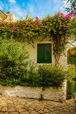 포토 JPG 해외이미지 전통 외관 꽃 유럽 벽 여행 백그라운드 건축양식 창문 휴가 출입구 거리 주택 사람없음 야외 건물 목재 세로 초록색 여름 파란색 여행객 문 마을 정원 수확 골동품 바위 시골 도시 도심 지중해 묘사 질감 복고 안락의자 칠면조 랜드마크 옛날 스타일 해외202309 해외포토 나무 식물 건축물 계절 건축 나라 바다 컬러 농업 의자 재료 조류 사람 돌_바위 파일형식