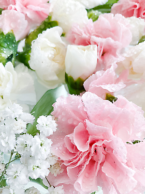 포토 JPG 해외이미지 식물 꽃잎 꽃 파도 분홍색 꽃다발 결혼 백그라운드 컨셉 꽃무늬 패턴 데이트 자연 발렌타인데이 선물 사랑 사람없음 장식 가로 물 컬러풀 뷰티 반사 우주 스파 목욕 화장품 젖음 물방울 개화 실크 다발 카네이션 부드러움 내추럴 잔물결 해외202309 해외포토 자연요소 감정 물결 바다 컬러 무늬 데이이벤트 이벤트 청결 직물 감각 생태계 파일형식