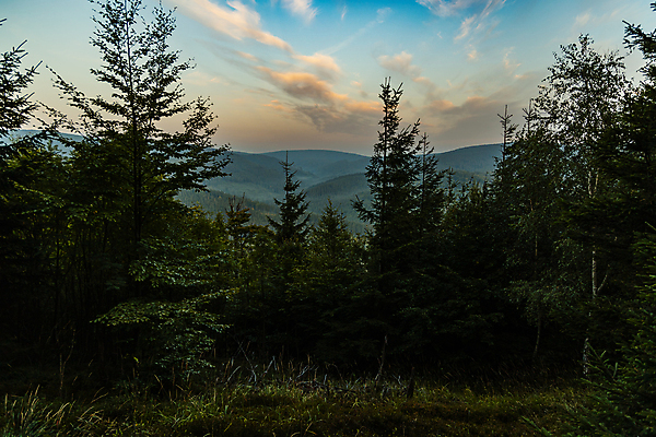 포토 JPG 해외이미지 나무 구름 유럽 여행 자연 하늘 아침 날씨 산 풍경 사람없음 야외 목재 초록색 여름 컬러풀 태양 뷰티 일출 환경 추위 안개 소나무 황금 숲 폴란드 내추럴 해외202309 해외포토 주간 자연요소 식물 계절 나라 컬러 재료 노을 생태계 파일형식