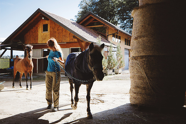포토 JPG 해외이미지 동물 직업 라이프스타일 여자 행복 스포츠 밭 자연 안내 한명 사람 이벤트 취미 야외 여름 뷰티 농장 믿음 강사 경쟁 목장 산책 시골 승마 승차 쇼 과외 기르기 돌봄 라이더 지원 선두 해외202309 해외포토 1 계절 감정 컨셉 농업 모션 수업 휴식 생활 학습 생태계 파일형식