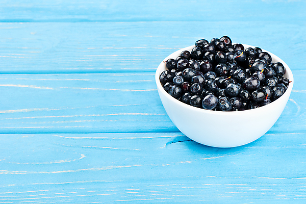 포토 JPG 해외이미지 열매 음식 백그라운드 다이어트 과일 재료 자연 탁자 디저트 건강 사람없음 목재 파란색 컬러풀 활발 흰색 신선 도자기 그룹 사발 달콤 맛 정상 오브젝트 유기농 블루베리 블랙베리 흙더미 내추럴 숙성 월귤 맛있는 해외202309 해외포토 나무 식물 웰빙 컬러 가구 컨셉 흙 사기그릇 생태계 파일형식 더미