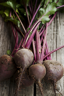 포토 JPG 해외이미지 음식 잎 밭 다이어트 주택 건강 사람없음 목재 빨간색 초록색 농장 성장 신선 유기농 칼로리 내추럴 비트 옛날 해외202309 해외포토 나무 식물 웰빙 컬러 농업 채소 재료 건물 파일형식