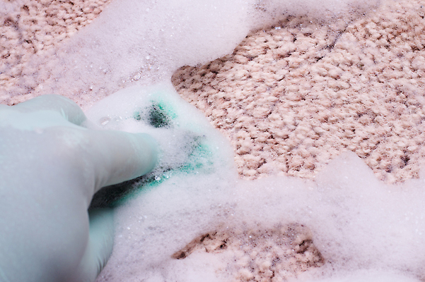 포토 JPG 해외이미지 직업 손 장갑 가사 가정 바닥 주택 건조 실내 사람없음 초록색 물 카펫 거품 방 젖음 덮개 공구 잡기 붓 작업 점 얼룩 액체 닫기 씻기 빨래 청소 세제 분무기 닦기 고무 샴푸 스펀지 양모 소독 위생관리 진공 화학물질 해외202309 해외포토 자연요소 잡화 컬러 모션 관리 내부 건물 신체부위 위생용품 청결 뚜껑 도구 직물 화학 파일형식