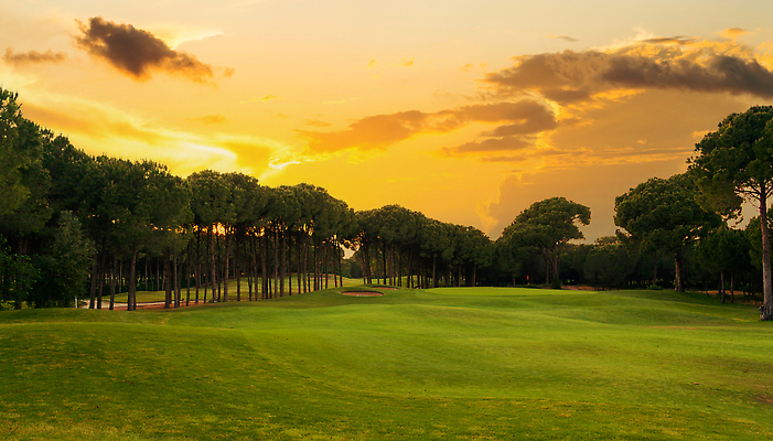 포토 JPG 해외이미지 나무 라이프스타일 호수 스포츠 백그라운드 밭 골프 골프장 자연 놀이 하늘 파노라마 잔디 취미 사람없음 야외 초록색 물 파란색 햇빛 일출 맑음 황혼 일몰 골프채 게임 소나무 강의 클럽 휴양지 칠면조 페어웨이 비어있는 해외202309 해외포토 자연요소 식물 컬러 농업 스포츠시설 조류 날씨 골프용품 촬영기법 생활 태양 구기 노을 장소 생태계 파일형식