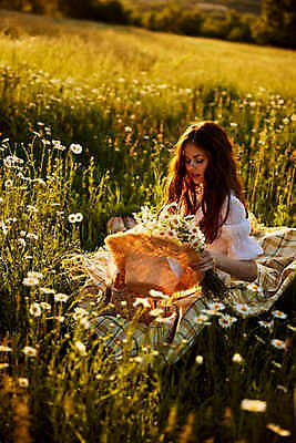 포토 JPG 해외이미지 여자 꽃밭 따뜻함 한명 상반신 성인 야외 햇빛 일몰 밀짚모자 체크무늬 개망초 성인여자한명만 해외202309 해외포토 모자_잡화 1 꽃 무늬 사람 태양 노을 여자한명만 성인여자만 파일형식