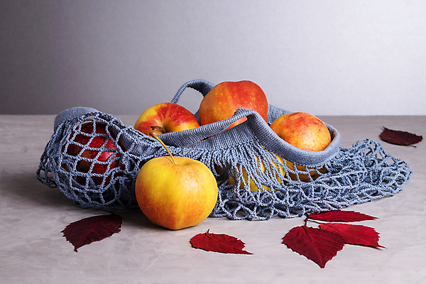 포토 JPG 해외이미지 음식 컨셉 잎 채소 가방 오렌지 건강 사람없음 쇼핑백 농장 유행 환경 상점 재활용 회색 수확 직물 신선 면 그물 상품 사회이슈 에코 친환경 유기농 생태계 망사 건강식 유지 낭비 10월 영 생태학 숙성 정물화 채식주의자 해외202309 해외포토 식물 웰빙 잡화 교육 컬러 농업 과일 숫자 날짜 그림 채식 파일형식