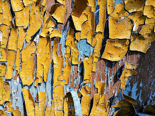 포토 JPG 해외이미지 디자인 벽 컬러 백그라운드 패턴 벽지 탁자 표면 추상 주택 미술 사람없음 내부 목재 울타리 갈색 노란색 평화 어둠 힘 페인트 손상 수확 골동품 얼룩 거친 떨어짐 천 질감 분무기 동쪽 발견 그런지 옛날 우크라이나 위기 전국 표준 현실 해외202309 해외포토 나무 유럽 가구 컨셉 무늬 농업 재료 문화예술 건물 담장 직물 방향 파일형식