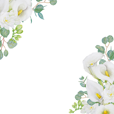 포토 JPG 해외이미지 클립아트 식물 디자인 꽃잎 꽃 꽃다발 결혼 백그라운드 꽃무늬 일러스트 결혼식 미술 사람없음 장식 초록색 유행 낭만 흰색 직물 인사 생일 개화 모서리 우아함 인쇄 스케치 수집 오브젝트 그림 하와이 초대 손그림 이국적 인기 칼라꽃 포장소품 현실 국경 해외202309 해외일러스트 기념일 컬러 컨셉 무늬 포장 문화예술 이벤트 미국 예절 포장재료 파일형식