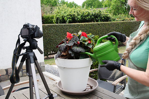 포토 JPG 해외이미지 식물 꽃 행복 중년 장갑 농업 토마토 채소 모션 자연 주택 관리 씨앗 한명 사람 취미 빨간색 초록색 농장 정원 앞치마 봄 성장 공구 업무 중세 냄비 농부 국자 원예 유지 내추럴 거름 모종 블로거 소셜미디어 심기 온실 원예사 해외202309 해외포토 직업 1 잡화 계절 감정 산업 컬러 주방용품 성인 건물 도구 작업 역사 솥 생태계 파일형식