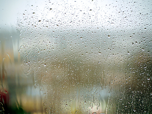 포토 JPG 해외이미지 디자인 계절 컬러 컨셉 잎 패턴 밭 벽지 하늘 표면 주택 건조 사람없음 빛 컬러풀 햇빛 반사 환경 흐름 흰색 물방울 투명 닫기 매끈함 소프트포커스 질감 보케 광택 10월 블러 샤워실 많음 효과 해외202309 해외포토 식물 무늬 농업 모션 촬영기법 건물 태양 감각 날짜 샤워시설 파일형식