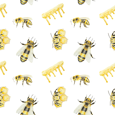 JPG 해외이미지 패턴 일러스트 사람없음 달콤 꿀벌 꿀 벌집 허니콤 해외202309 해외일러스트 모양 무늬 맛 벌_곤충 파일형식