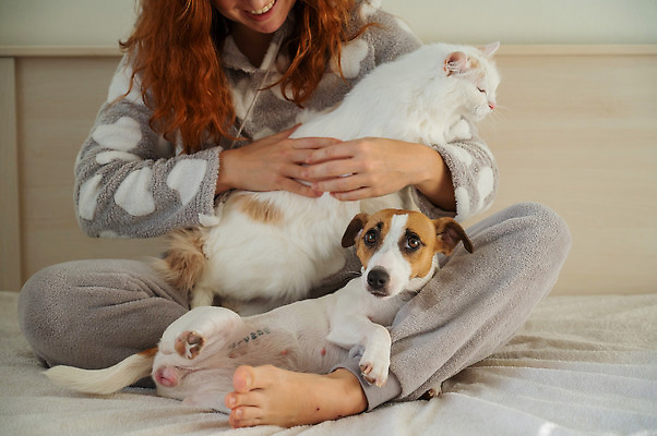 포토 JPG 해외이미지 동물 백인 여자 행복 포유류 포옹 아침 휴식 주택 사랑 한명 앉기 친구 반려동물 고양이 우정 침실 꿈 흰색 침대 잡기 잠 개 달콤 강아지 결합 담요 낮잠 부드러움 솜털 주인 거짓말 유래 해외202309 해외포토 주간 서양인 1 감정 컬러 가구 컨셉 관계 안기 모션 사람 건물 감각 맛 파일형식
