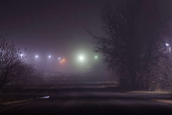 포토 JPG 해외이미지 나무 계절 도로 자연 날씨 조명 거리 주택 사람없음 야외 빛 울타리 마을 금속 어둠 안개 가을 시골 등불 램프 기둥 야간 러시아 트럼펫 줄서기 해외202309 해외포토 자연요소 식물 건축 유럽 길 교통시설 모션 재질 건물 담장 금관악기 생태계 파일형식