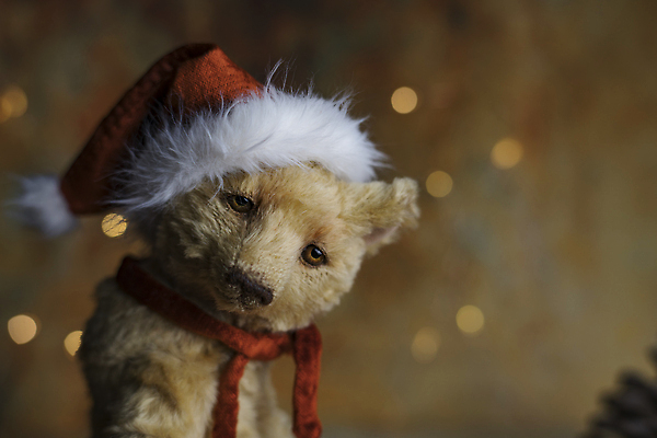 포토 JPG 해외이미지 동물 기념일 얼굴 크리스마스 산타모자 곰 가족 포옹 새로움 새해 크리스마스카드 기념 선물 앉기 사람없음 장식 빨간색 장난감 뷰티 산타클로스 갈색 곰인형 방 축하 인사 신용카드 12월 모피 솜털 폭식 캡모자 크리스마스이브 클라우스 크리스마스배경 해외202309 해외포토 모자_잡화 인형 컬러 백그라운드 컨셉 포유류 관계 안기 모션 카드_감사 이벤트 신체부위 금융 예절 날짜 파일형식